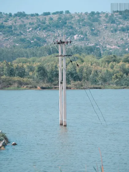 Electric poles standing in the middle of a lake. A random, slightly surreal shot that makes you look twice and question what you're seeing.