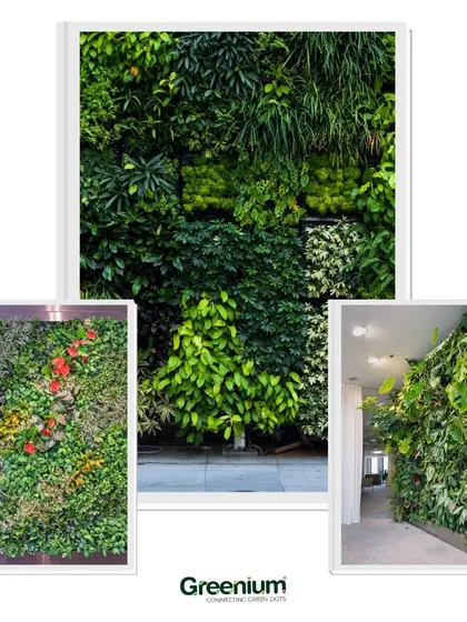 A collage showcasing the beauty of vertical gardens for both commercial and residential spaces. Let me transform your walls into vibrant greenery.