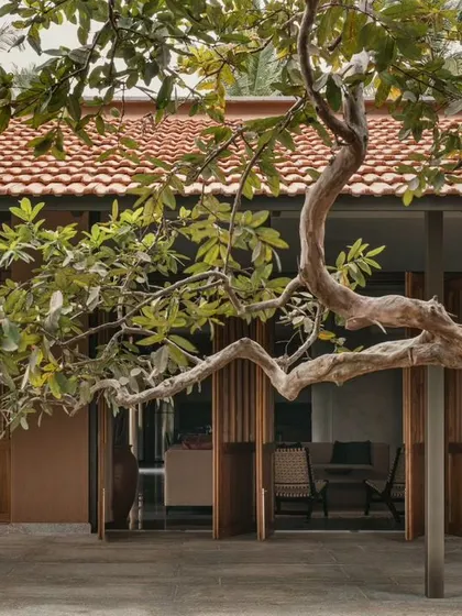An old, sculptural tree was carefully preserved and made a feature of the courtyard. The architecture was planned around it, demonstrating our commitment to integrating the home with its natural site.