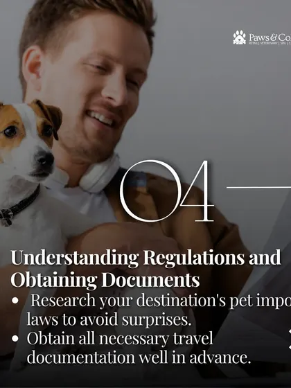 Understanding regulations and obtaining documents is a critical step. We research your destination's specific pet import laws to ensure all paperwork is correct and obtained well in advance.