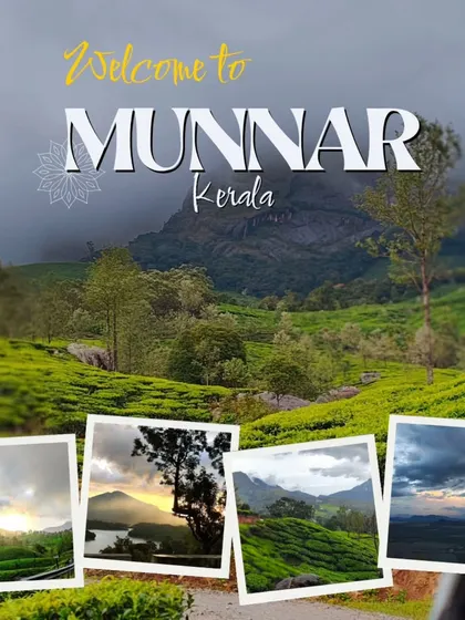 The stunning tea gardens of Munnar, Kerala. This is the kind of breathtaking, peaceful location I choose for my wellness getaways, where nature itself becomes a partner in our healing.