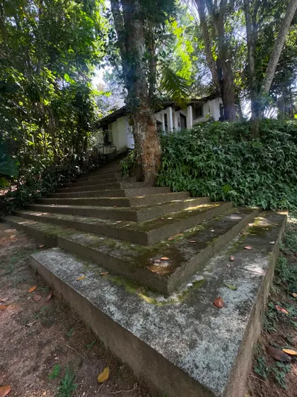 Concrete steps leading up to a house nestled in a hillside, surrounded by dense, natural foliage. This image, taken on a trip to Sri Lanka, is an inspiration for how architecture can merge seamlessly with the landscape.