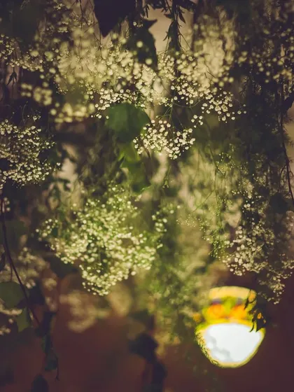 A dreamy cloud of hanging baby's breath. Ceiling installations like this are one of our favorite ways to completely transform a space and create a moment of wonder for guests as they look up.