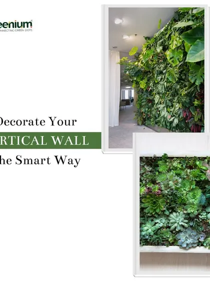 Decorate your vertical wall the smart way. This image collage shows two different styles of vertical gardens, one with lush, tropical plants and another with a variety of succulents.
