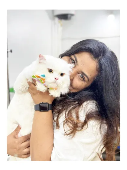 A happy moment with a fluffy white client. I specialize in cat grooming here in Bangalore, providing expert care for all feline breeds.