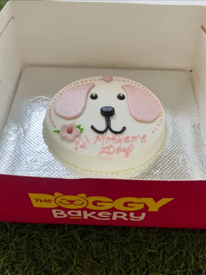 A duplicate of image 23, showing the Mother's Day cake in its box.