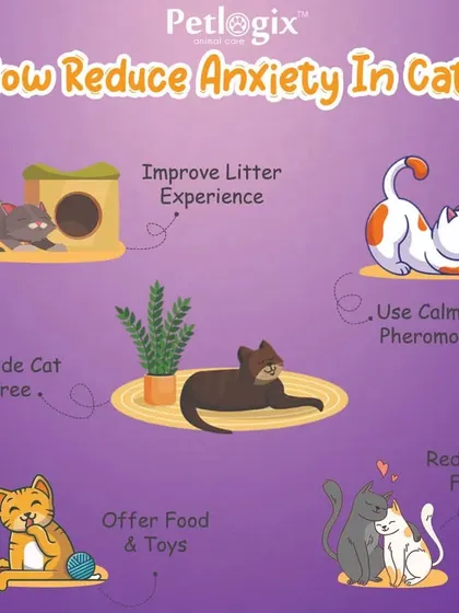 Cat anxiety can be subtle, and this graphic provides helpful tips to create a calmer environment for your feline friend. Suggestions include improving their litter experience, providing a cat tree, and using calming pheromones.