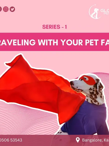 Traveling with your pet for the first time can be daunting. Our FAQ series is designed to answer all your questions and provide the information you need for a successful relocation.