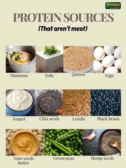 A visual guide to protein sources that aren't meat, including hummus, tofu, quinoa, eggs, and lentils.