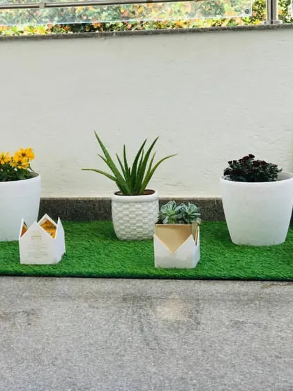 Here you can see the variety of small and medium-sized pots used in the balcony makeover. Mixing different shapes and styles adds visual interest and makes the space feel more dynamic.