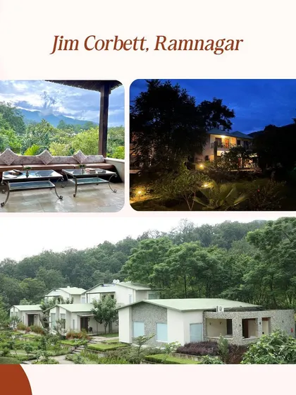 The stunning and serene environment of our Jim Corbett retreat location. We choose places where you can truly disconnect from the world and connect with nature.