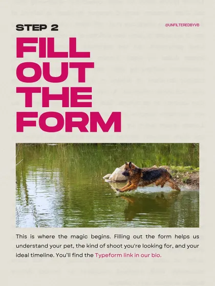 Step 2: Fill Out The Form. This is where the magic begins, helping me understand your pet and what you're looking for.