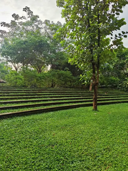 A view of a completed project featuring a terraced lawn, creating a natural amphitheater effect. This is a great way to landscape sloped land.