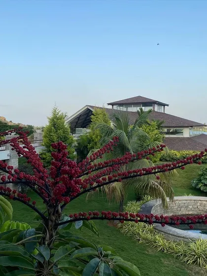 A unique red-berried plant stands out against the green landscape and blue sky. This is just one example of the diverse and beautiful flora you will discover while exploring our grounds.