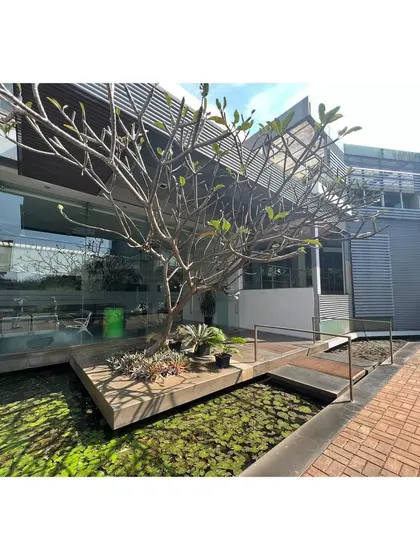 The landscape of the 2010 office campus has matured beautifully over the years. A temple tree grows from an island in a lily pond, demonstrating our long-term approach to integrating architecture and nature.
