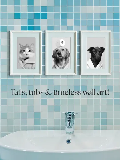 From the shoot to your wall! The portraits from my 'Tails, Tubs & Timeless Wall Art' sessions make for the most adorable bathroom decor. Here's how you can display the memories of your furry friends.