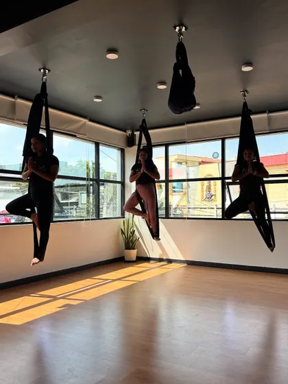 Students practice a variation of tree pose in the hammocks, silhouetted against the bright studio window.