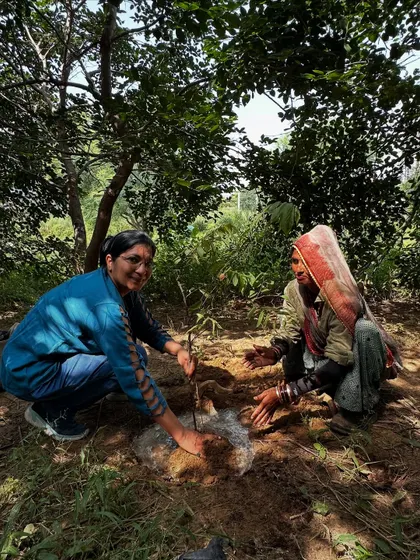 A volunteer from NatWest works with our on-ground team member to plant a native sapling, helping to create a true habitat where bees and butterflies can thrive.