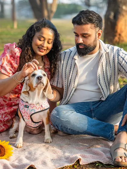 A Beagle enjoying a picnic with her family. The outdoor setting and relaxed atmosphere make for beautiful, natural photos.