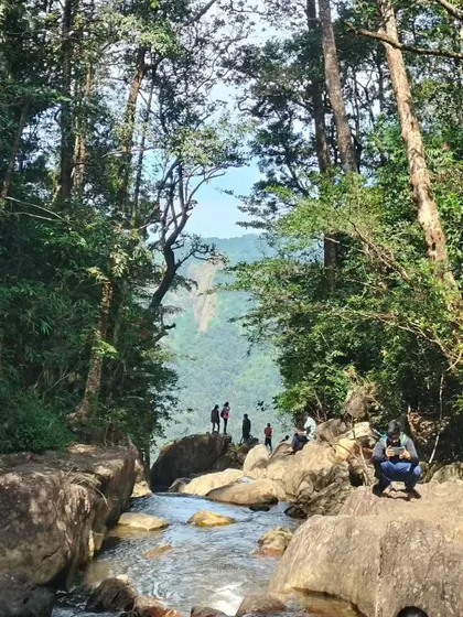 A view of a stream and a distant viewpoint, showing the varied terrain of the Agumbe rainforest.