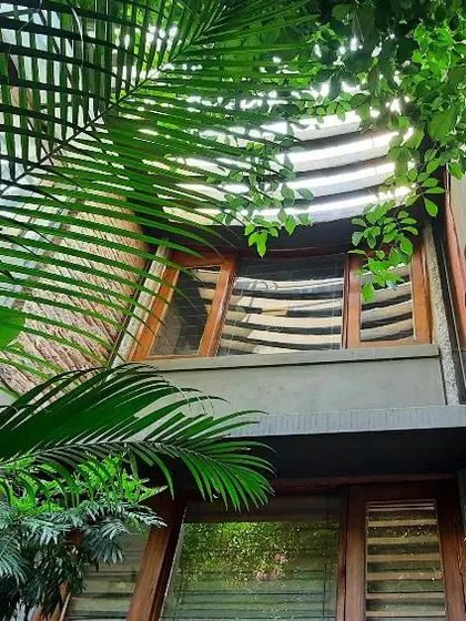 Peeking through palm fronds at the studio's facade. The layers of greenery and the building's architecture create a rich, tropical feel, demonstrating how plants can be used to soften and enhance architectural forms.