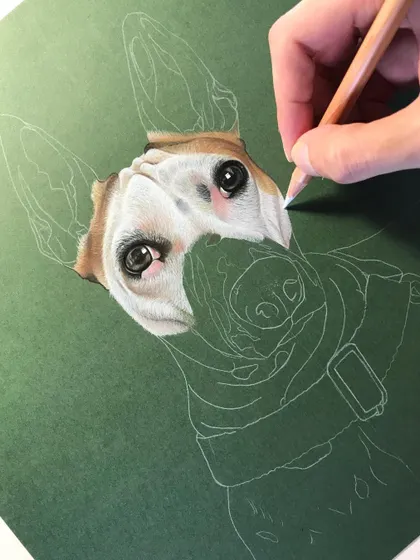 This is an early stage of a color pencil portrait. I begin with a light outline sketch and then start rendering the most detailed part, the eyes, to ensure I capture the soul of the pet right from the start.