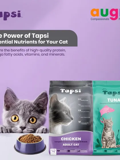 The power of Tapsi comes from its blend of essential nutrients. It delivers high-quality protein, omega fatty acids for a shiny coat, and a full spectrum of vitamins and minerals for daily health.