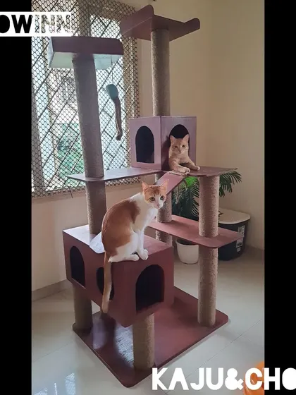 This large, multi-level cat tree is a central feature, offering scratching posts, hideouts, and perches for multiple cats to enjoy at once.