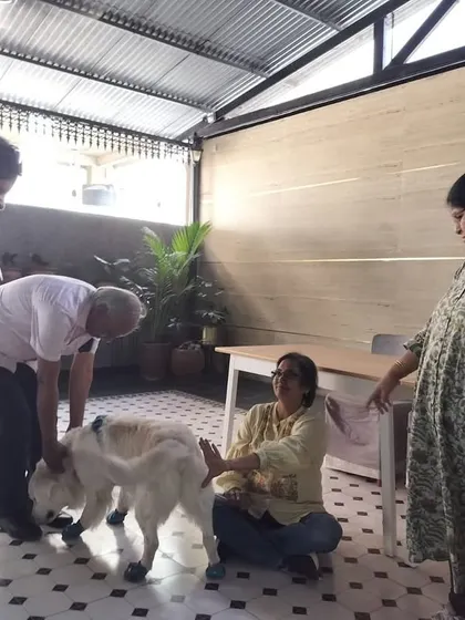 I was honored to speak at a Rotary Bangalore event about how dogs can be a part of therapy and mental health initiatives. My dog Coco was a perfect gentleman, charming the crowd and demonstrating the calm temperament of a great therapy dog.