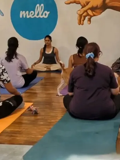 Guiding a class at Mello Studio, where even the resident dogs join in for some calm energy. My classes are a welcoming space for everyone.