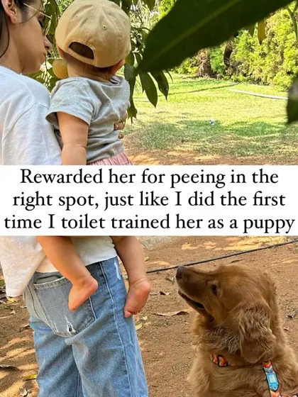 I went back to basics and rewarded her heavily for peeing in the right spot. Positive reinforcement for the correct behavior is always more effective than punishing mistakes.