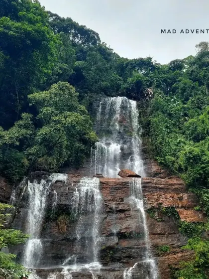 Jhari falls, also known as Buttermilk Falls, is a highlight of our Chikmagalur leisure trip, accessible via an exciting jeep ride.