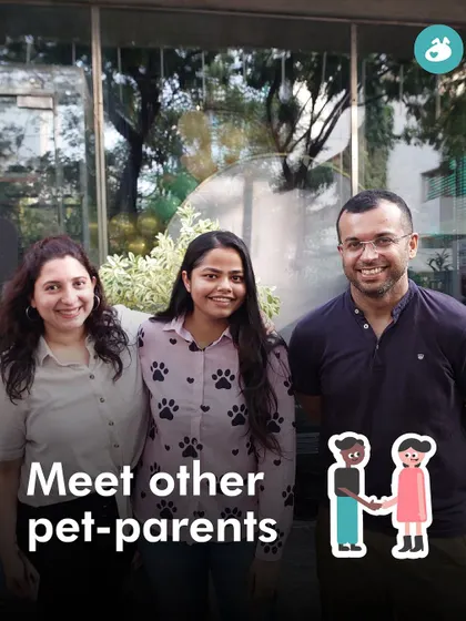 Meeting other pet parents is one of the best parts of our Addas. It's all about sharing, learning, and making new friends who get it.