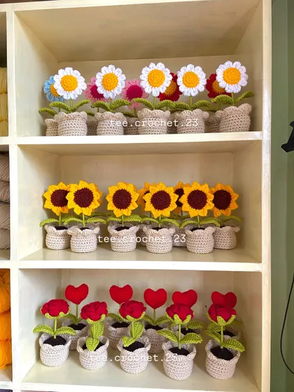 My shelves organized by flower type, with rows of potted daisies, sunflowers, and heart-shaped flowers.