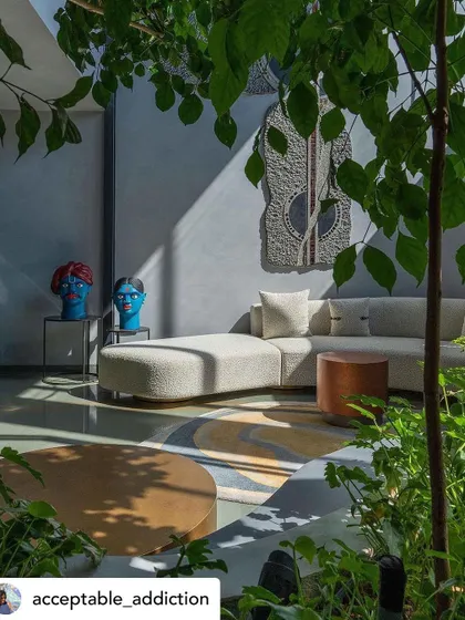 A living space seen through the leaves of an indoor tree, with sunlight casting dramatic shadows on the wall. This perspective emphasizes how the landscape is woven into the fabric of the home's interior.