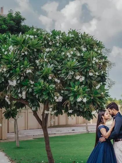 A quiet, romantic moment captured beautifully. My navy blue ball gown adds a touch of timeless elegance to this couple's pre-wedding photoshoot in a lovely garden setting.