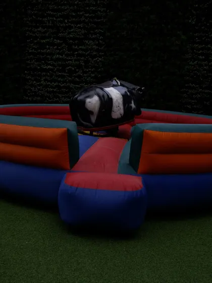 Looking for something truly exciting? I offer mechanical bull rides for rent. It's a guaranteed hit for corporate events, family days, or any party where you want to add a dose of thrilling fun.