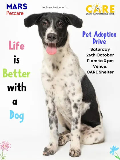 Life is better with a dog. We held a special pet adoption drive in association with MARS Petcare to help more of our shelter residents find loving homes.
