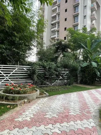 A view of the interlocking tile pathway I installed, designed to curve gently through the green space. The path is flanked by a mix of shrubs and flowering plants, with a slatted fence providing a clean boundary.