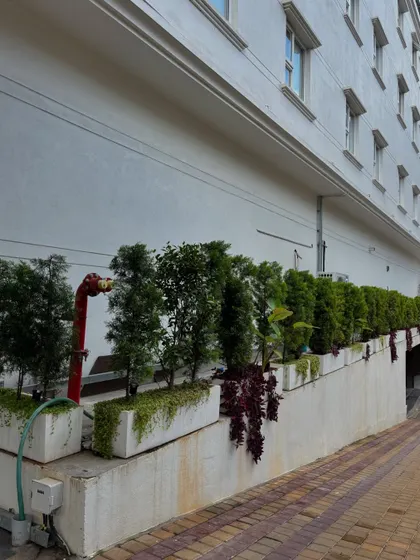 Revisiting Hotel Grand Serene, it's wonderful to see the creepers and shrubs thriving. Our long-term maintenance ensures that the landscape matures as envisioned, growing more beautiful with each season.