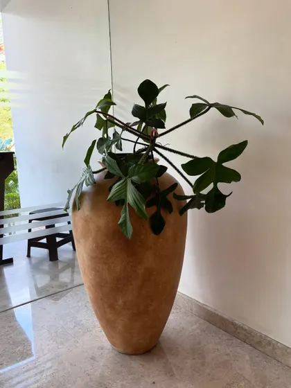 This large, textured pot holding a Philodendron adds an artistic, sculptural element to this hotel lobby. I believe the container is just as important as the plant itself in creating a cohesive design.