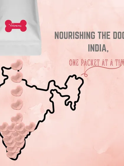 My goal is to nourish the dogs of India, one packet at a time. This includes our street dogs, and I'm so grateful for the love our Nutri Pack Stars treats have received from people feeding their stray fur buddies.
