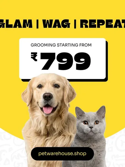 Glam, Wag, Repeat. Our grooming services for both dogs and cats start from just ₹799. It's an affordable way to keep your pet looking and feeling like a star.