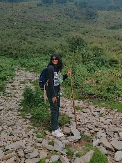 The best views come after the hardest climbs. This was taken during my trek to Triund in Himachal, a challenging but incredibly rewarding experience.