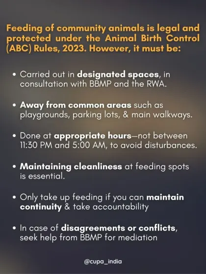 Feeding community animals is legal and protected under the Animal Birth Control (ABC) Rules, 2023. This graphic outlines the rules for feeding, such as using designated spaces and maintaining cleanliness.