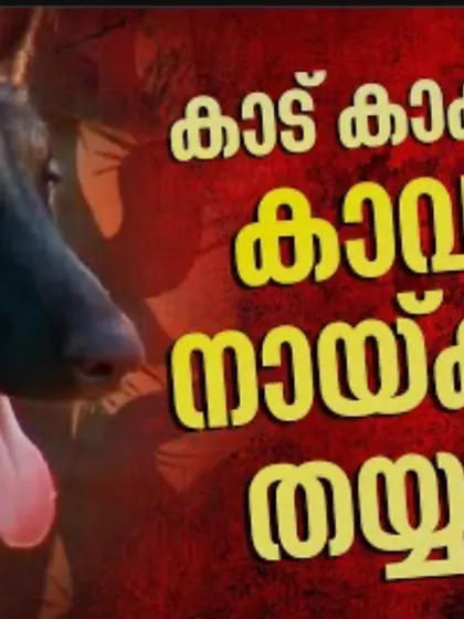 A thumbnail from a YouTube video about the Karnataka Forest Tracker Dog Unit. The Malayalam text reads, "Guard dogs are ready to protect the forest," showcasing the regional impact of our work.