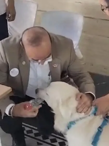 I was honored to speak at a Rotary Bangalore event about how dogs can be a part of therapy and mental health initiatives. My dog Coco was a perfect gentleman, charming the crowd and demonstrating the calm temperament of a great therapy dog.