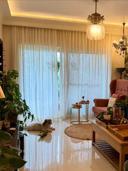 Another view of my living room in the evening. The sheer curtains soften the light, and my furry boy finds his favorite spot to chill. This is what `sukoon` feels like.