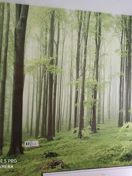 A misty forest mural that covers an entire wall, bringing the calming beauty of nature indoors and making the room feel larger.