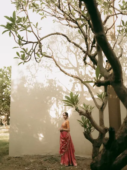 A wide shot showing the bride framed by the artistic branches of a tree, creating a beautiful, natural composition.